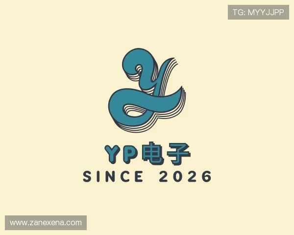 介绍YP电子